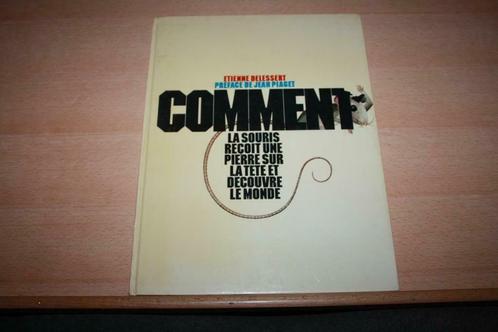 Comment- Etienne Delessert La souris recoit une pierre sur l, Boeken, Kinderboeken | Jeugd | 10 tot 12 jaar, Gelezen, Fictie, Ophalen of Verzenden