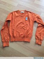 Maillot orange cks 10 ans, Enfants & Bébés, Vêtements enfant | Taille 104, Fille, Pull ou Veste, Utilisé, Enlèvement ou Envoi