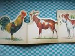 kinderboekje boerderijdieren, Boeken, Gelezen, Ophalen of Verzenden