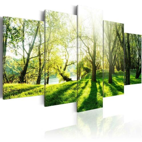 58 Natuur Bomen 5 Luik Canvas Schilderij 200x100cm Nieuw, Huis en Inrichting, Woonaccessoires | Schilderijen, Tekeningen en Foto's