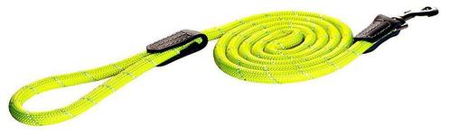 Rogz Laisse pour Chien, taille M, 1,8 m, jaune, Neuve, Dieren en Toebehoren, Overige Dieren-accessoires, Nieuw, Ophalen of Verzenden