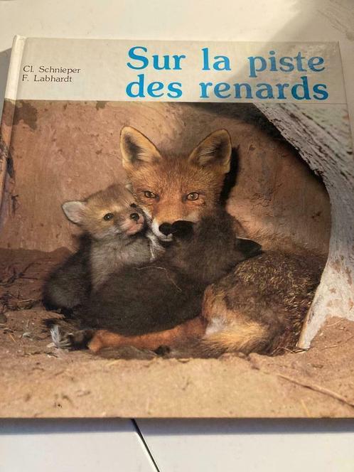 Livre - Sur la piste des renards - Métamorphoses de la natur, Livres, Livres pour enfants | 4 ans et plus, Utilisé, Non-fiction