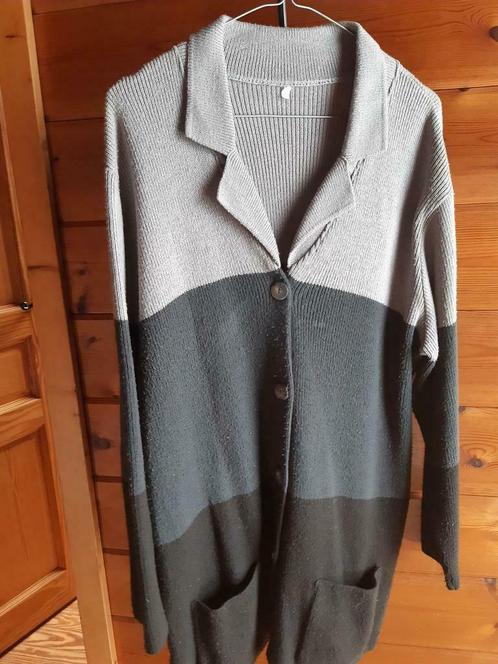 leuke gilet, Kleding | Dames, Truien en Vesten, Zo goed als nieuw, Maat 42/44 (L), Grijs, Ophalen