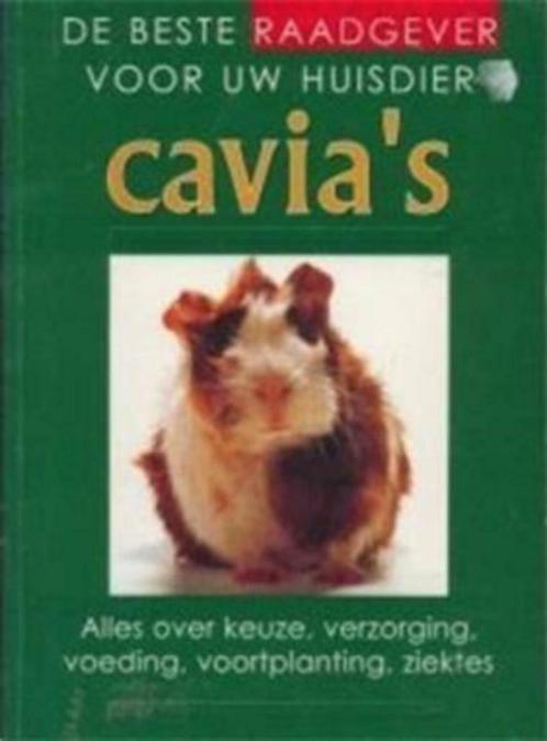 Cavia's, de beste raadgever voor uw huisdier, Livres, Animaux & Animaux domestiques, Utilisé, Lapins ou Rongeurs, Enlèvement ou Envoi