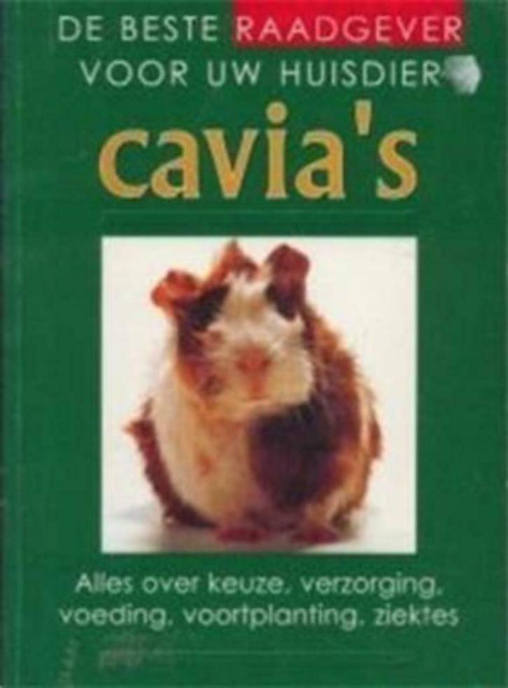 Cavia's, de beste raadgever voor uw huisdier, Boeken, Dieren en Huisdieren, Gelezen, Konijnen of Knaagdieren, Ophalen of Verzenden
