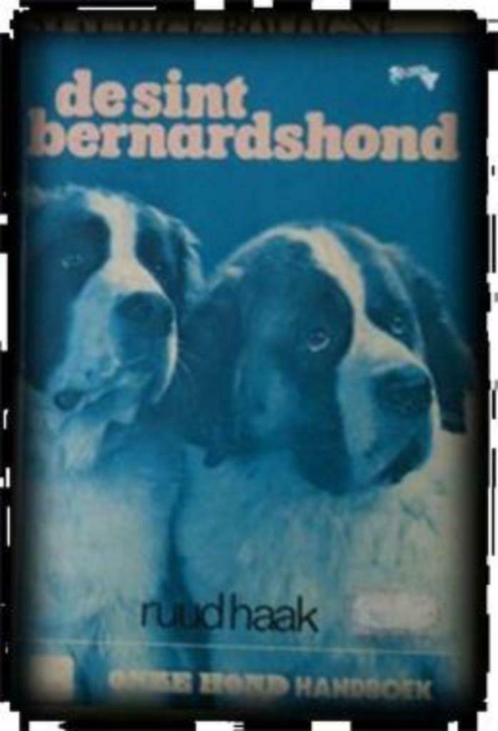 De Sint Bernardshond, Livres, Animaux & Animaux domestiques, Utilisé, Chiens, Enlèvement ou Envoi