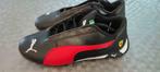 NIEUWE Puma Ferrari schoenen, Jongen of Meisje, Puma, Schoenen, Nieuw