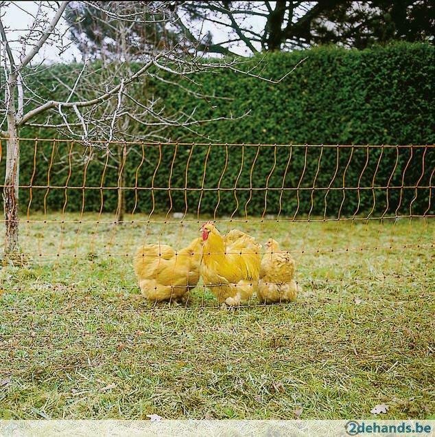 Kippennet Pluimveenet en hekken, Agrodieren de beste prijs, Dieren en Toebehoren, Pluimvee | Toebehoren, Nieuw, Ophalen of Verzenden