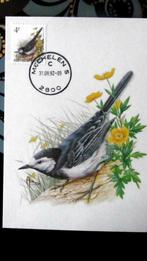FIRST DAY OP KAART- VOGELS VAN BUZIN- DE WITTE KWIKSTAART, Ophalen of Verzenden, Gestempeld, Dier of Natuur