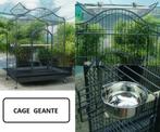 Voliere perroquet XXL cage ara cacatoes amazone gris gabon, Autres types, Envoi, Métal, Neuf