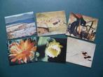 Chromos plaatjes  Zeep Couvreur  x 6  Walt Disney, Collections, Utilisé, Enlèvement ou Envoi