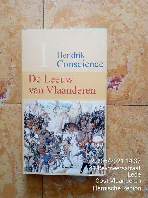 De Leeuw van Vlaanderen, Boeken, Historische romans, Zo goed als nieuw, Ophalen of Verzenden