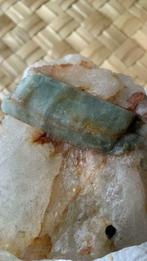 Cristaux de aigue marine sur gangue de quartz Brésil, Collections, Minéraux & Fossiles