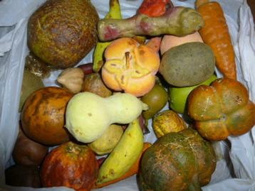 Sierfruit, Enlèvement ou Envoi, Utilisé