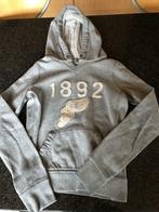 Trui abercrombie and fitch dames maat small, Ophalen of Verzenden