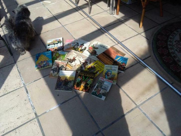 Een 12 tal jeugdboeken, Boeken, Kinderboeken | Jeugd | 10 tot 12 jaar, Gelezen, Fictie, Ophalen