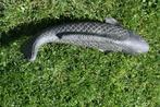 Beeld van een koi vis 40 cm in gepatineerde steen, Ophalen of Verzenden, Nieuw, Overige materialen, Overige typen