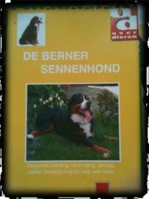 De Berner sennenhond, Boeken, Dieren en Huisdieren, Gelezen, Honden, Ophalen of Verzenden