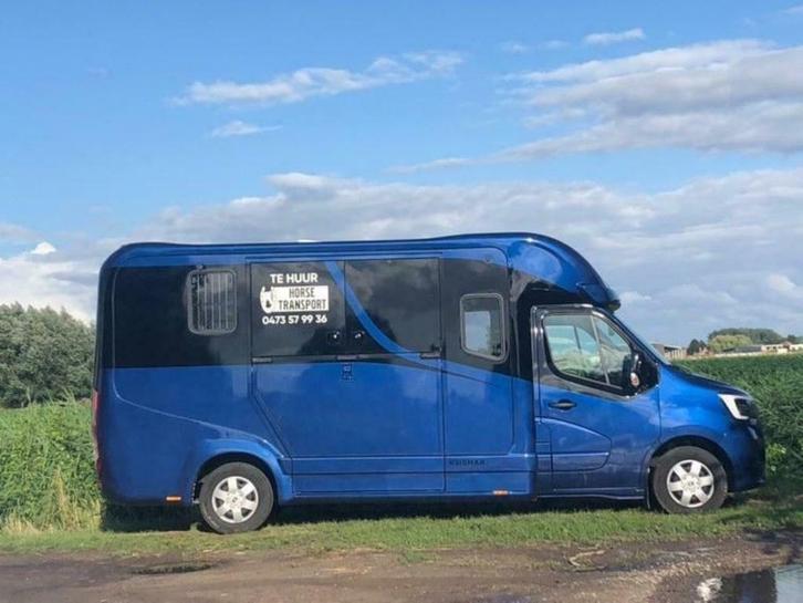 ‼️te huur‼️, Dieren en Toebehoren, Paarden, B