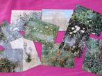 Lot de 10 cartes postales du Jardin Botanique de l'Etat, Non affranchie, Bruxelles (Capitale), 1980 à nos jours, Enlèvement ou Envoi