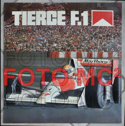 Poster in Reliëf - Formule 1 AYRTON SENNA / UITERST ZELDZAAM, Collections, Marques automobiles, Motos & Formules 1, Utilisé, ForTwo