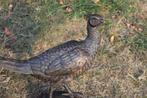 Grote bronzen fazant op marmeren sokkel, Antiek en Kunst, Ophalen of Verzenden, Brons