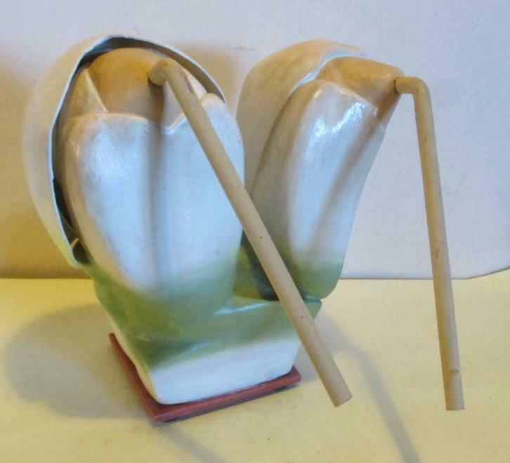 antiek bloemen planten model Osterloh  mais  23, Antiek en Kunst, Curiosa en Brocante, Verzenden