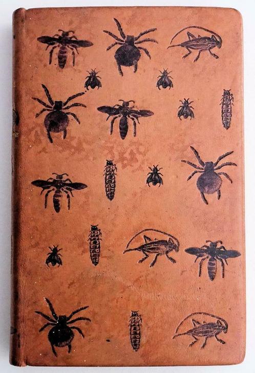 [Binding] Les Merveilles de l’Instinct chez les Insects 1913, Antiek en Kunst, Antiek | Boeken en Manuscripten, Ophalen of Verzenden