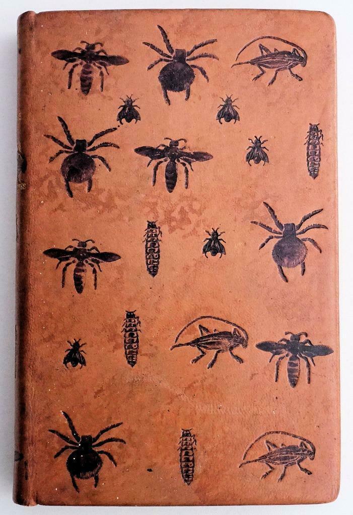 [Binding] Les Merveilles de l’Instinct chez les Insects 1913, Antiek en Kunst, Antiek | Boeken en Manuscripten, Ophalen of Verzenden