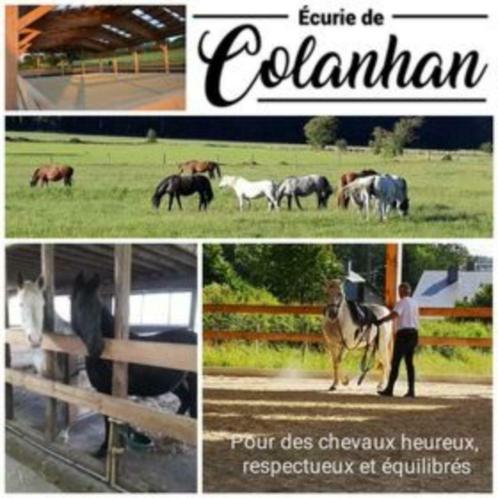 ② Armoire sellerie équitation — Box & Pâturages — 2ememain