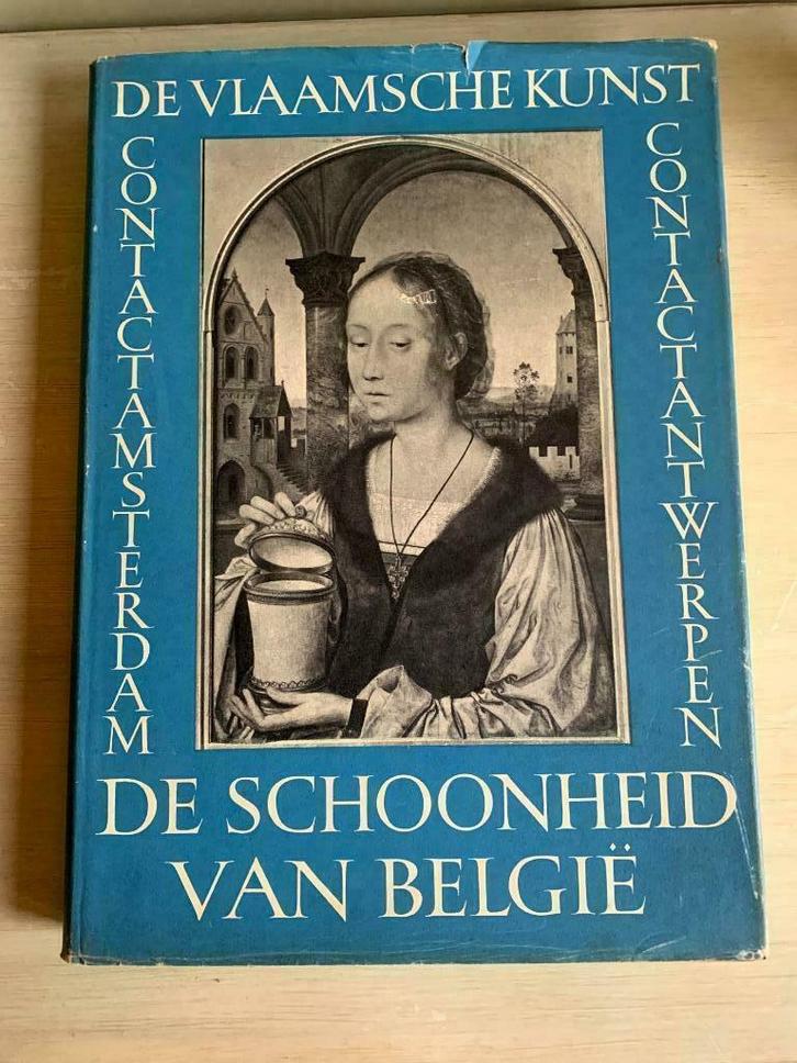 De Vlaamsche kunst., Livres, Art & Culture | Arts plastiques, Utilisé, Autres sujets/thèmes, Enlèvement ou Envoi