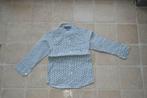 Hemd borz 98/108, Ophalen of Verzenden, Zo goed als nieuw, Jongen, Overhemd of Blouse