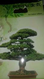 Startmateriaal bonsai juniperus zaden, Enlèvement