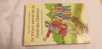 De geheime schat van het Kasteelbos van Heugten, Boeken, Gelezen, Fictie algemeen, Ophalen of Verzenden, Anneriek van Heugten