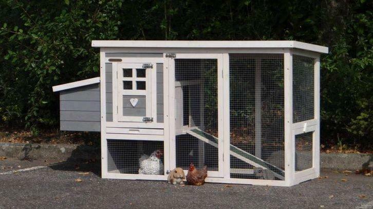 Poulailler XXL caille volaille lapin clapier abri poule neuf, Dieren en Toebehoren, Pluimvee | Toebehoren, Nieuw, Verzenden