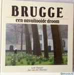 Brugge, een onvoltooide droom, Boeken, Geschiedenis | Nationaal, Nieuw, Ophalen of Verzenden