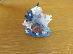 Wit en blauw koraal decoratie - H 10cm - L 10 cm, Huis en Inrichting, Ophalen of Verzenden