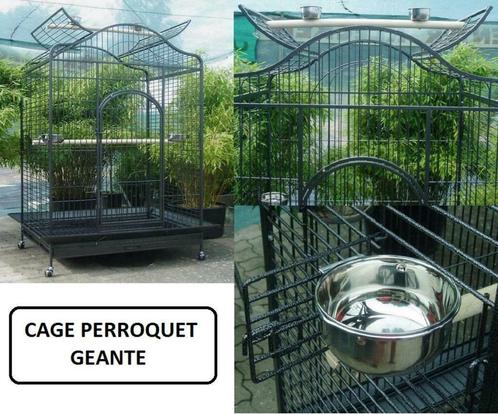 Voliere perroquet XXL cage ara cacatoes amazone gris gabon, Animaux & Accessoires, Oiseaux | Cages & Volières, Neuf, Autres types