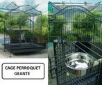 Voliere perroquet XXL cage ara cacatoes amazone gris gabon, Animaux & Accessoires, Oiseaux | Cages & Volières, Autres types, Envoi