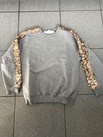 Lichtgrijze sweater van Lewis en Melly., Gebruikt, Meisje, Trui of Vest, Ophalen of Verzenden