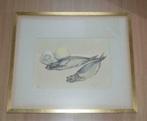 stilleven Paul Lauwers "haringen", Antiek en Kunst, Kunst | Etsen en Gravures, Ophalen of Verzenden