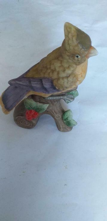 Perruche en porcelaine, Enlèvement ou Envoi