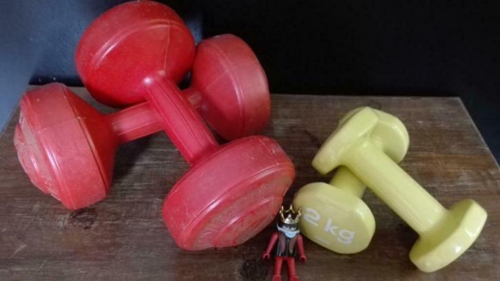118) l zware en lichte gewichten (voor hem en haar), Sport en Fitness, Overige Sport en Fitness, Gebruikt, Ophalen of Verzenden