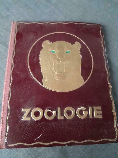 Zoologie Kwatta plaatjesalbum ca 1930, Livres, Livres d'images & Albums d'images, Utilisé, Album d'images, Enlèvement ou Envoi