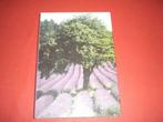 Livre: Provence Et Camargue. Artis - Historia.Vintage, Boeken, Ophalen of Verzenden, Gelezen