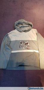 trui Large, Ophalen of Verzenden, Gedragen, Maat 42/44 (L)