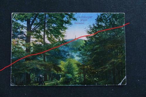 Postkaart 3/9/1919 Teutoburger Wald Heidental, Duitsland, Collections, Cartes postales | Étranger, Affranchie, Allemagne, Avant 1920