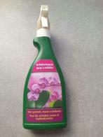 Spray à ORCHIDÉE, Maison & Meubles, Plantes d'intérieur, Plante à fleurs, Enlèvement ou Envoi, Autres espèces