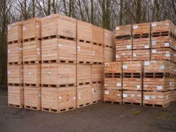 ② kuubskisten paloxen palletboxen fruitkisten transportkisten — Landbouw | Aardappelen, Fruit en Vlees — 2dehands