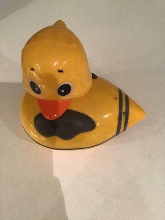 Zwembadradio eendje, Kinderen en Baby's, Speelgoed | Buiten | Zandbakken, Zo goed als nieuw, Ophalen of Verzenden